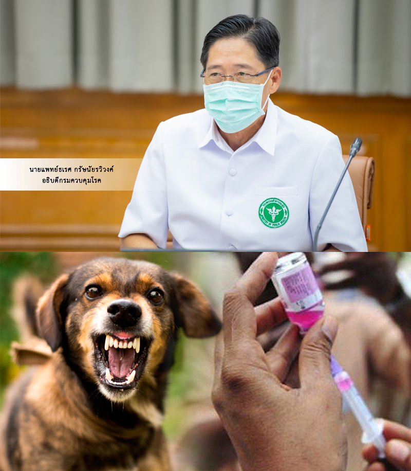 กรมควบคุมโรค แนะการฉีดวัคซีนป้องกันโรคพิษสุนัขบ้าเป็นหนทางเดียวในการป้องกันการเสียชีวิต 