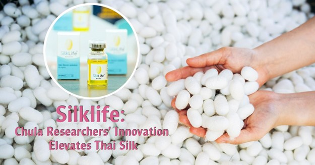Silklife นวัตกรรมนักวิจัยจุฬาฯ ยกระดับไหมไทย  จากงานฝีมือสู่วัสดุการแพทย์ระดับสากล